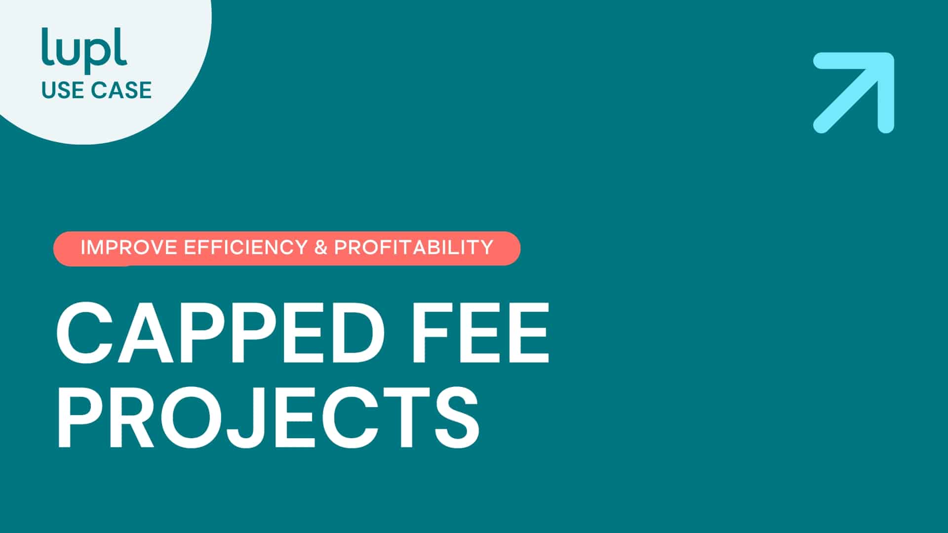 Lupl can be used to deliver capped fee matters on time and budget.